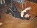 DSC02786.JPG